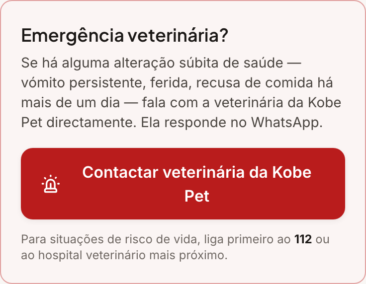 Ecrã da app: botão para contactar a veterinária da Kobe Pet directamente pelo WhatsApp